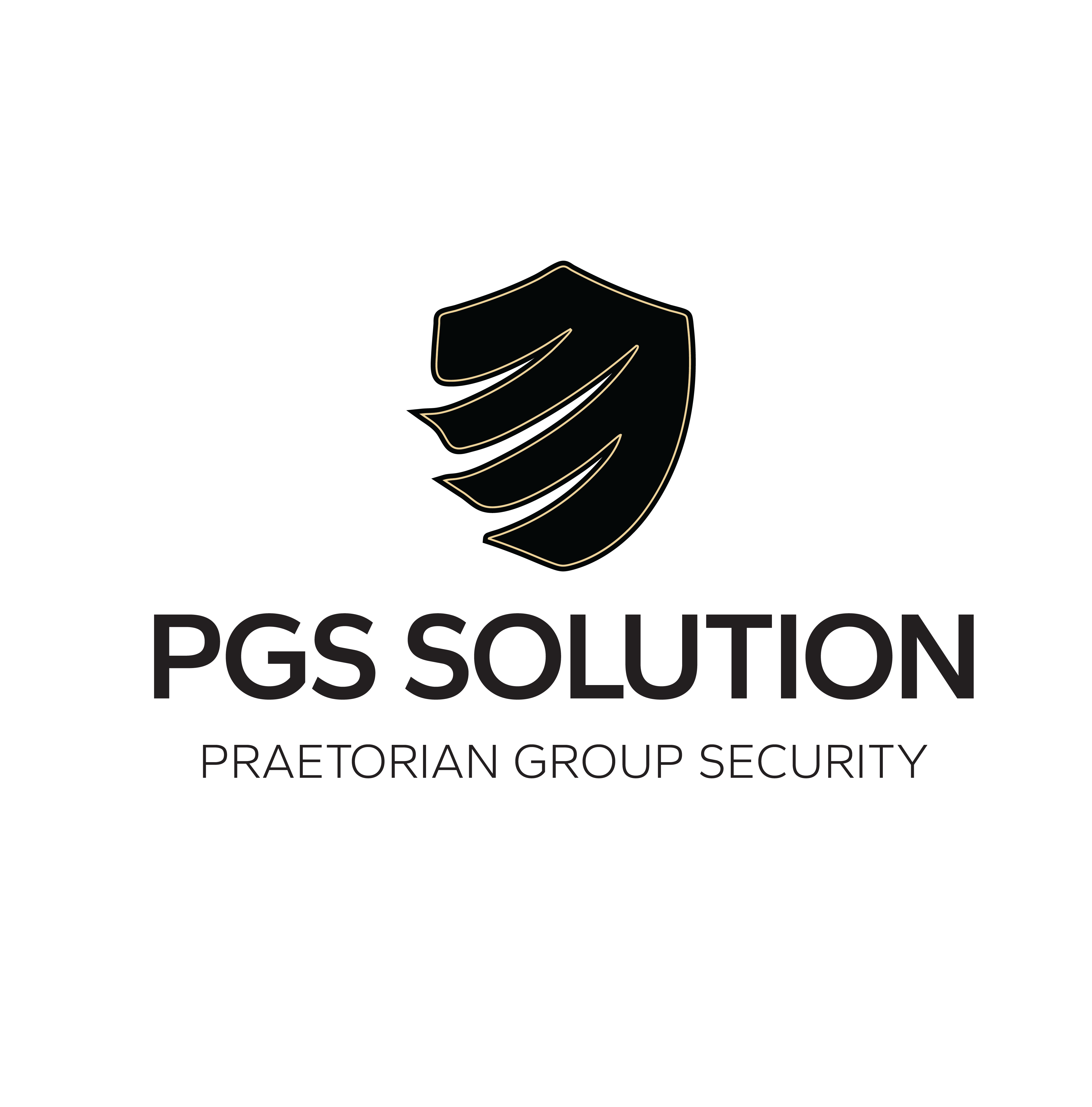 PGS Solution-02.png